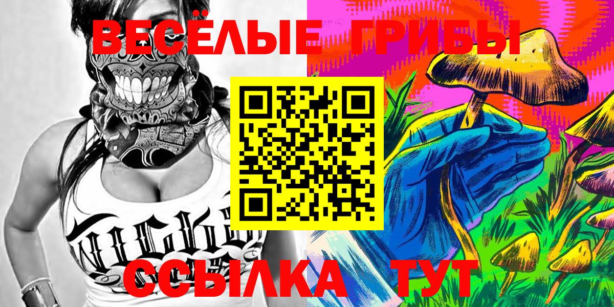 Сыктывкар  Галлюциногенные грибы прущие грибы  Вход с VPN  Псилоцибиновые грибы GOLDEN TEACHER 